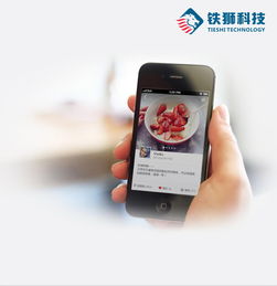 成都APP外包公司如何实现从开发到运营的全流程管理